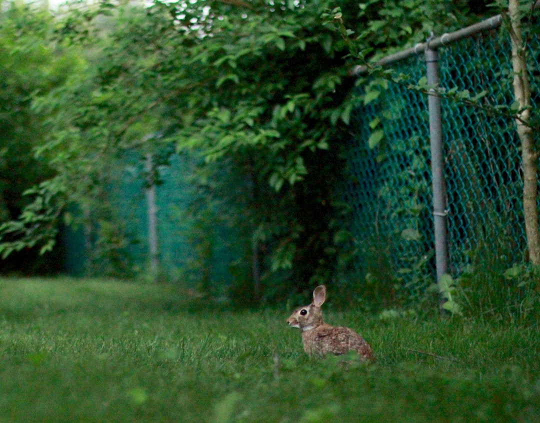 HTTP 403 - Forbidden