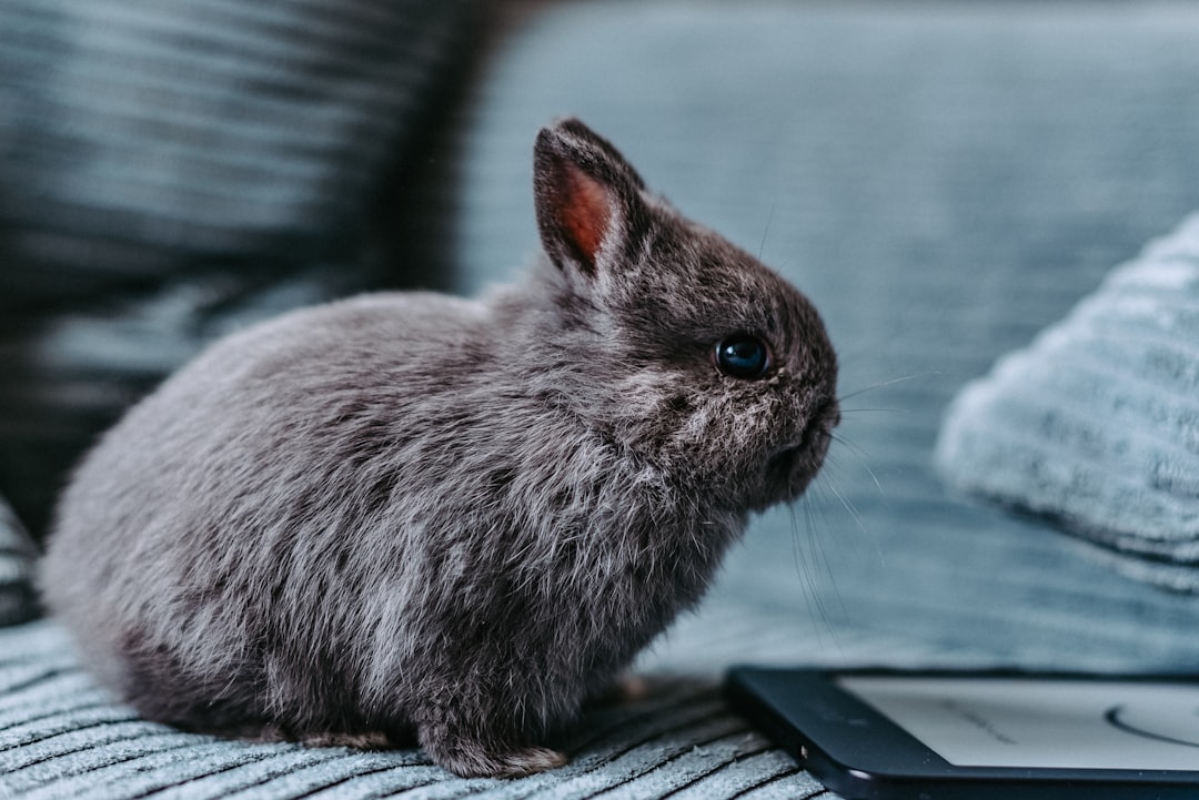 HTTP 407 - Proxy Authentication Required